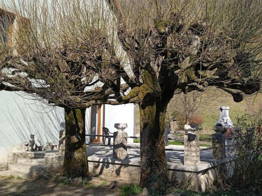 Gite A La Bonne Fermiere Nevy-Sur-Seille エクステリア 写真